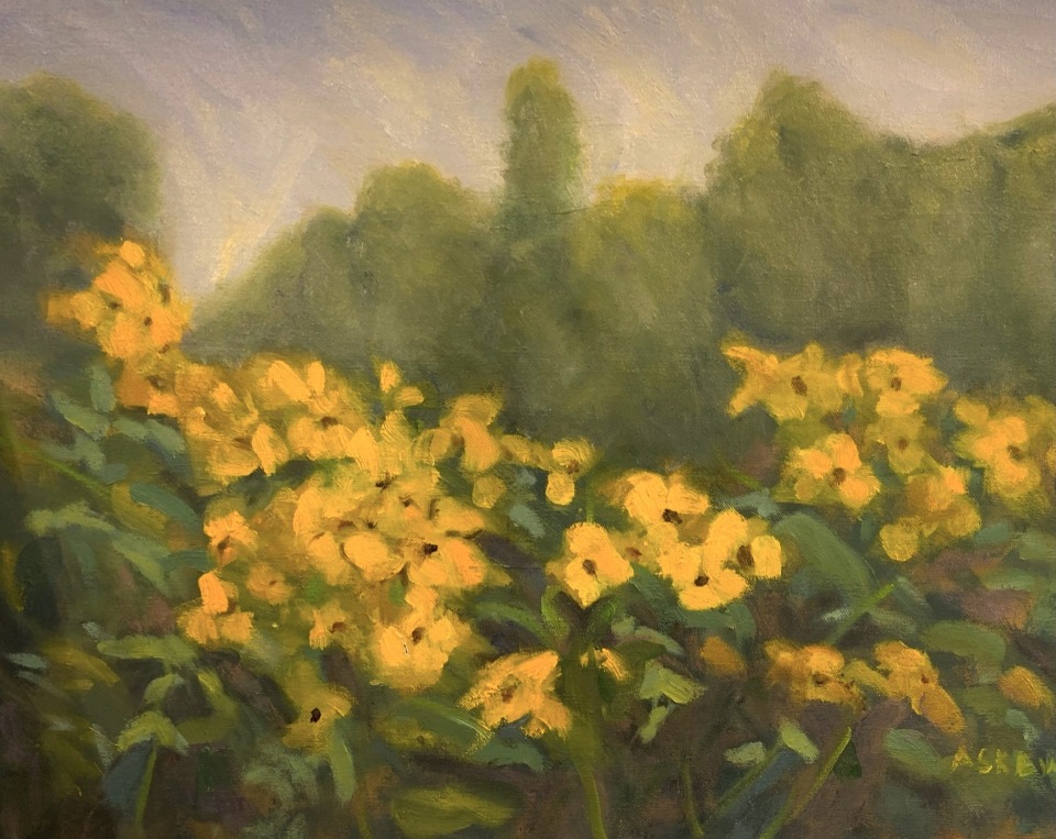 Field of yellow flowers with trees in the background